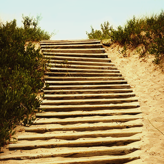 My Quest to Live Happily through a New Language For Life